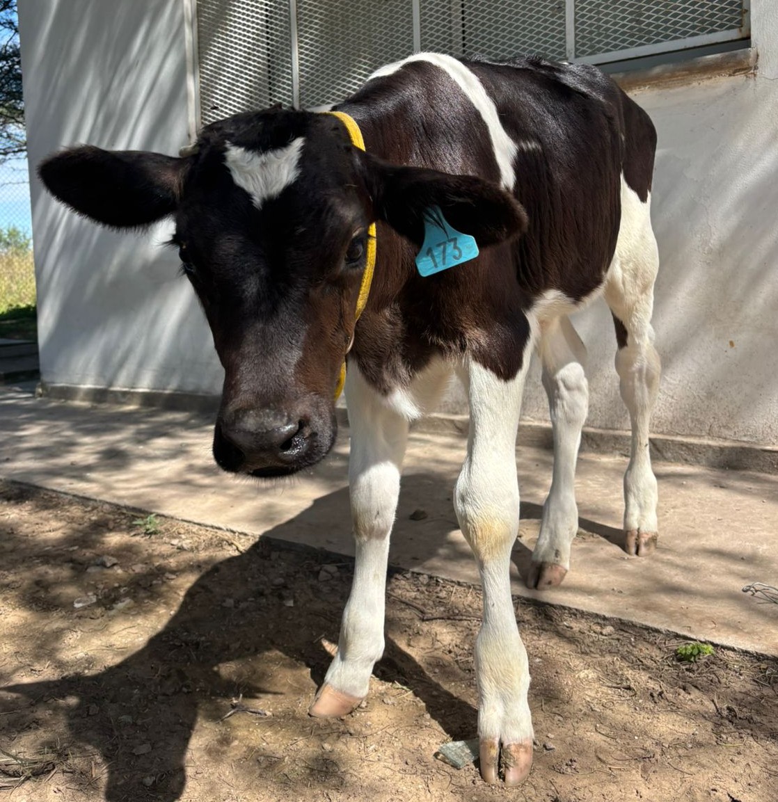 IPEA 209: la única escuela agropecuaria de Córdoba en AgroActiva