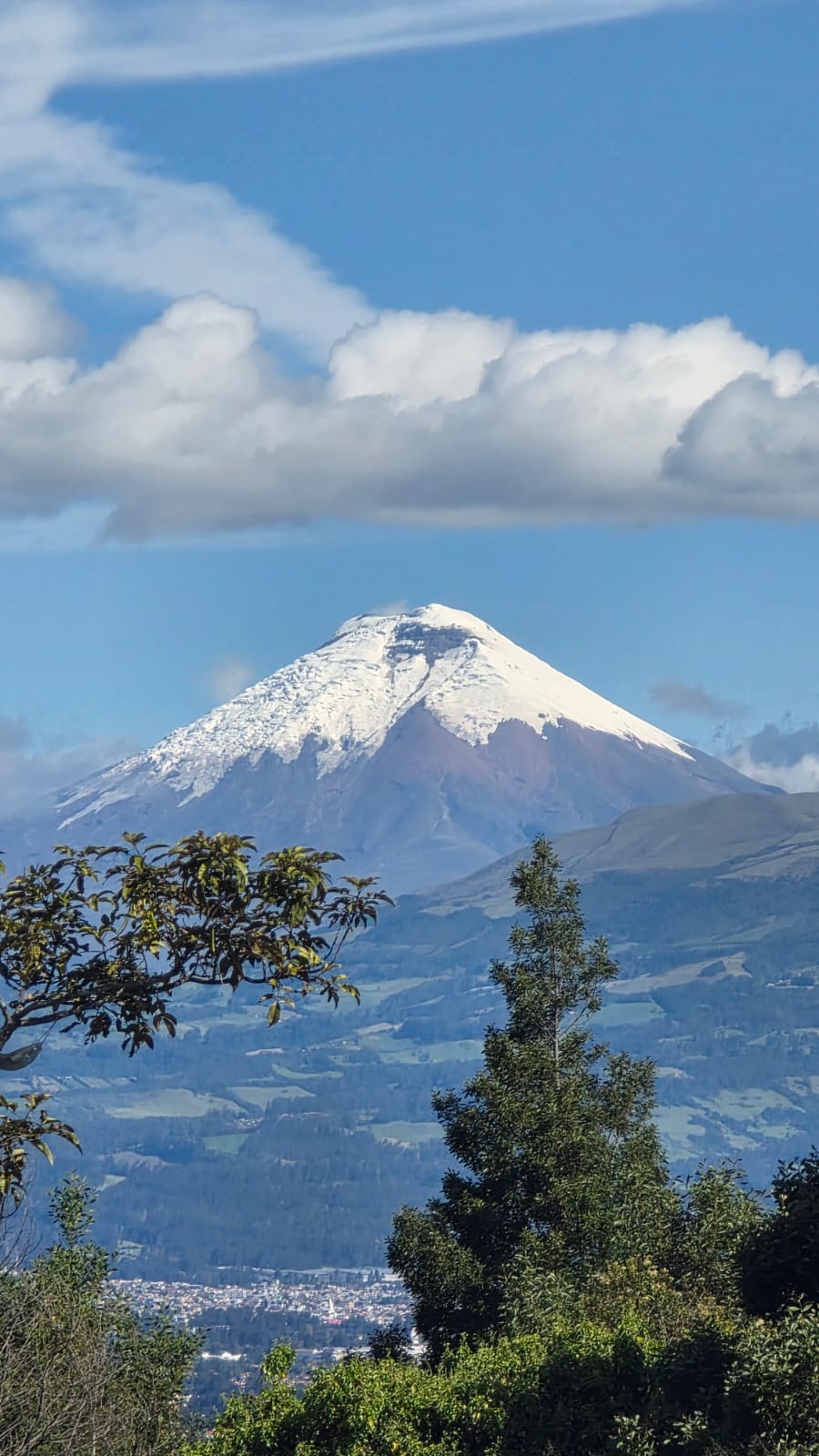 De Marcos Juárez a Alaska: Gustavo 