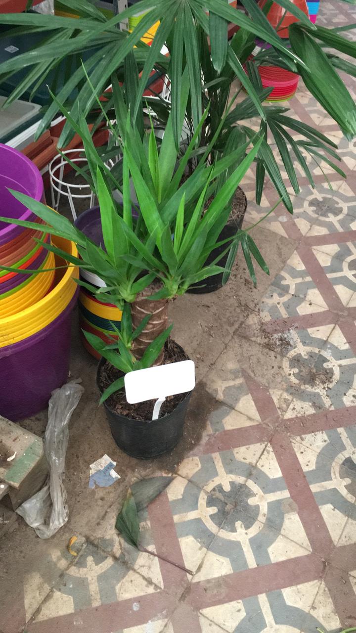 En Cadena Sudeste los sábados son una fiesta! 