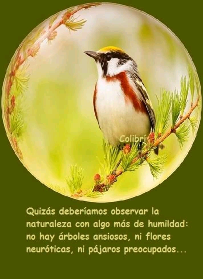 La Mañana a Full sábados en Cadena Sudeste 