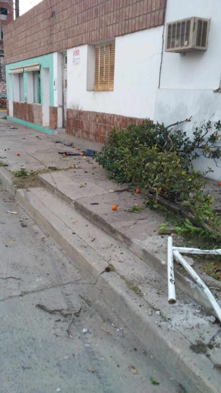 Chocó con su auto y arrancó una planta de patrimonio cultural en Armstrong
