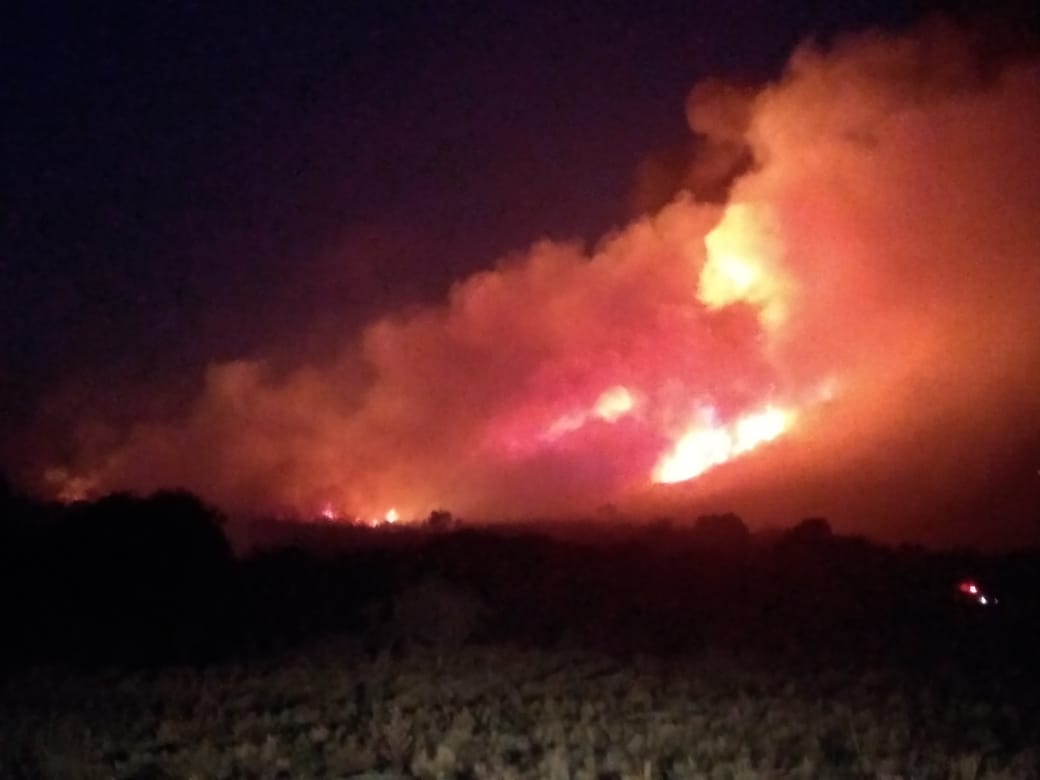 José Cavallera: “Son 100 bomberos trabajando las 24 horas en distintos grupos”
