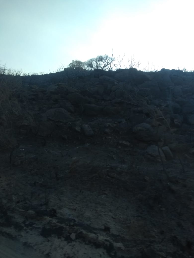 José Cavallera: “Son 100 bomberos trabajando las 24 horas en distintos grupos”
