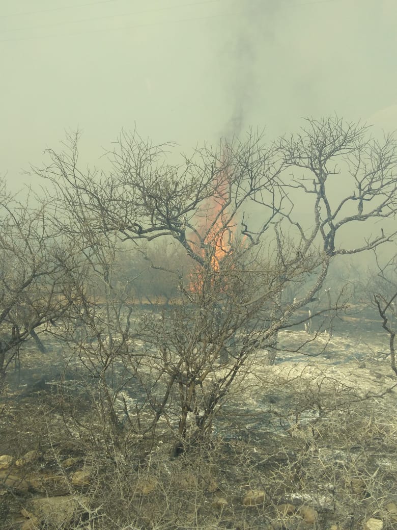 José Cavallera: “Son 100 bomberos trabajando las 24 horas en distintos grupos”
