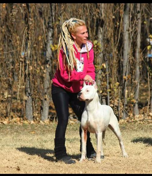 Cría Dogos Argentinos hace 11 años y ganó en competencias mundiales