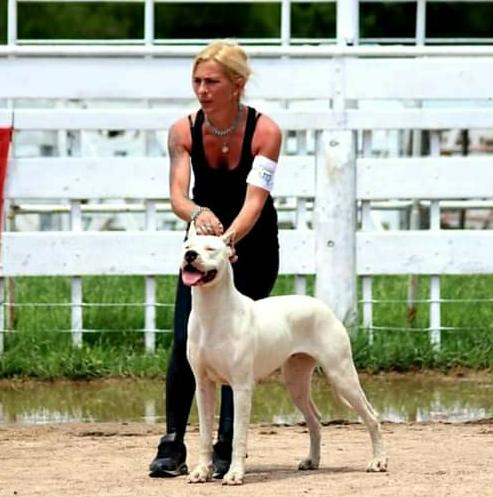 Cría Dogos Argentinos hace 11 años y ganó en competencias mundiales