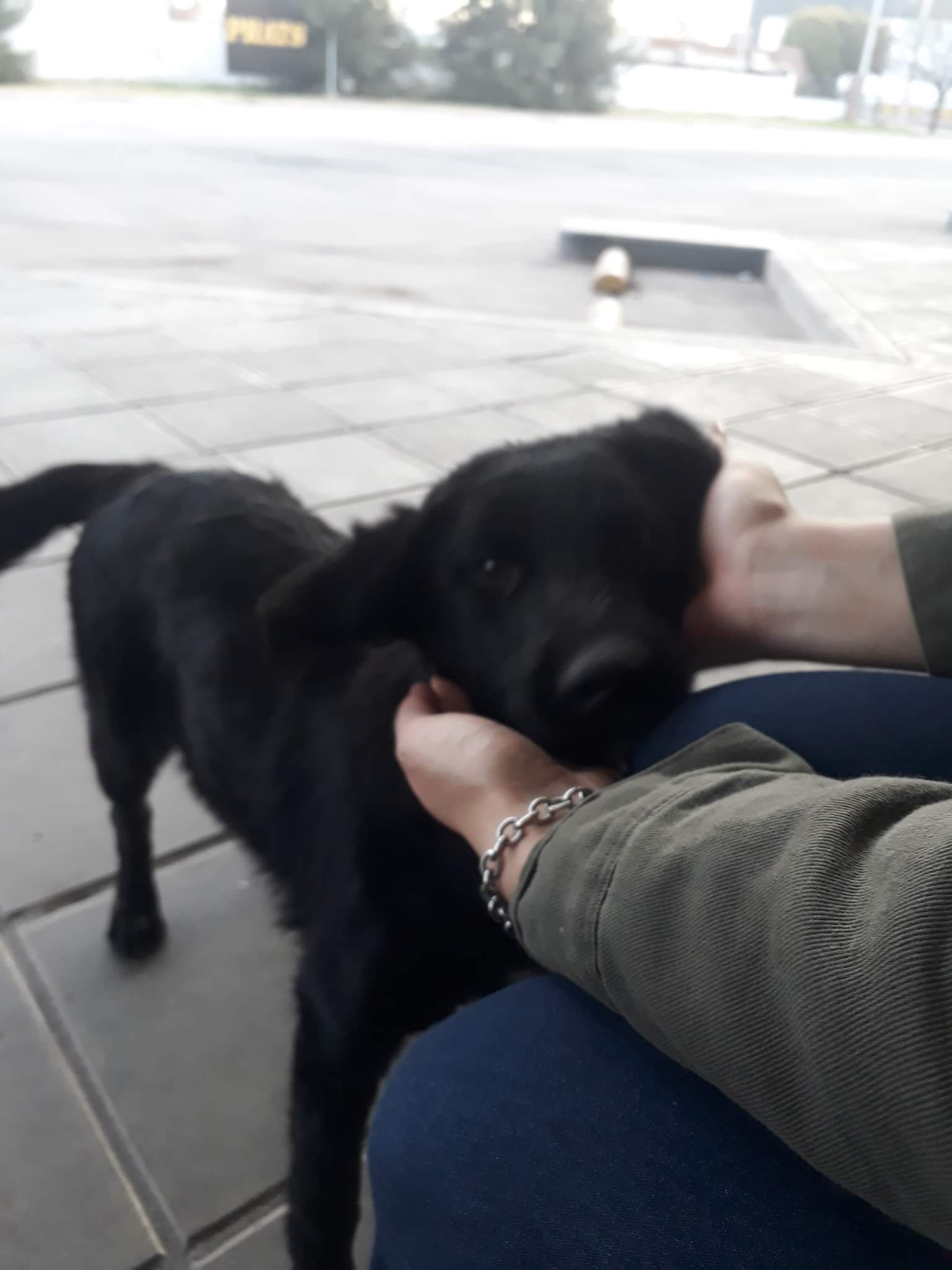 Huellitas de Amor: “Es importante para nosotras tener un sustento económico hoy en día”

