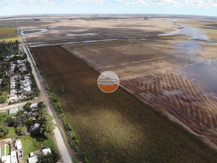 Descenso de agua gracias a las arroceras y la salida del sol en Marcos Juárez 
