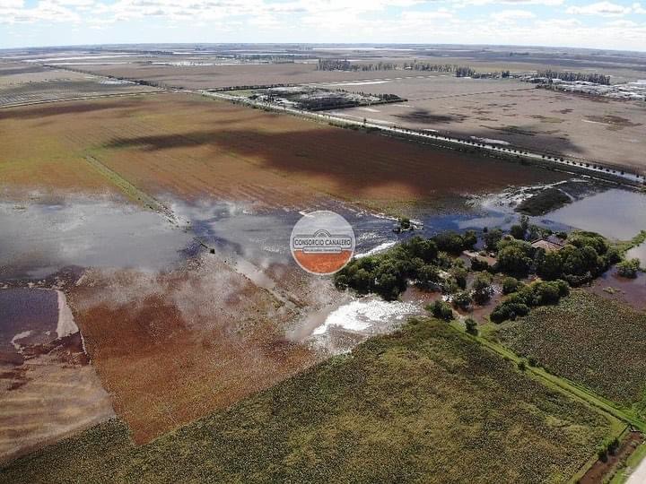 Descenso de agua gracias a las arroceras y la salida del sol en Marcos Juárez 