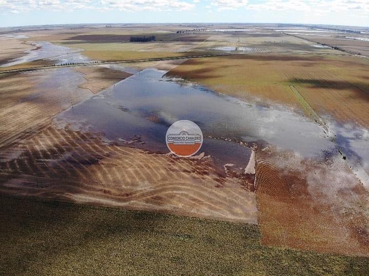 Descenso de agua gracias a las arroceras y la salida del sol en Marcos Juárez 