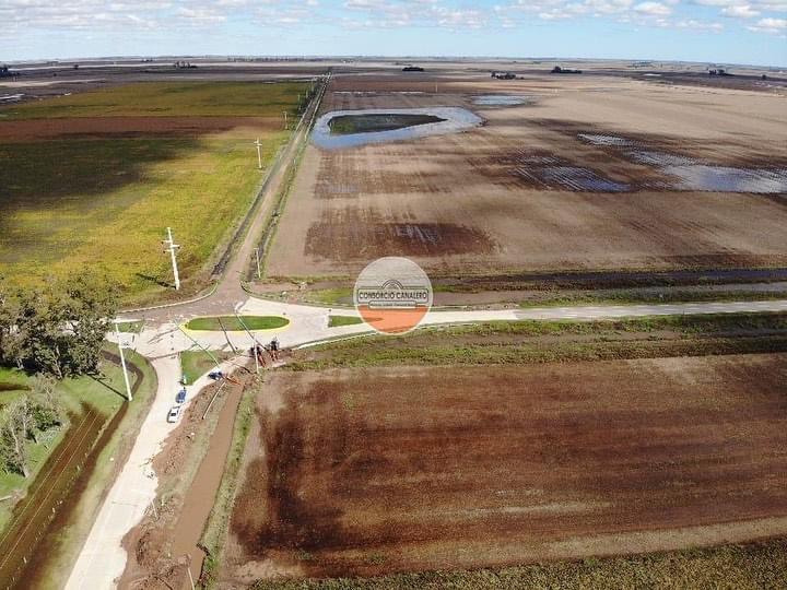 Descenso de agua gracias a las arroceras y la salida del sol en Marcos Juárez 