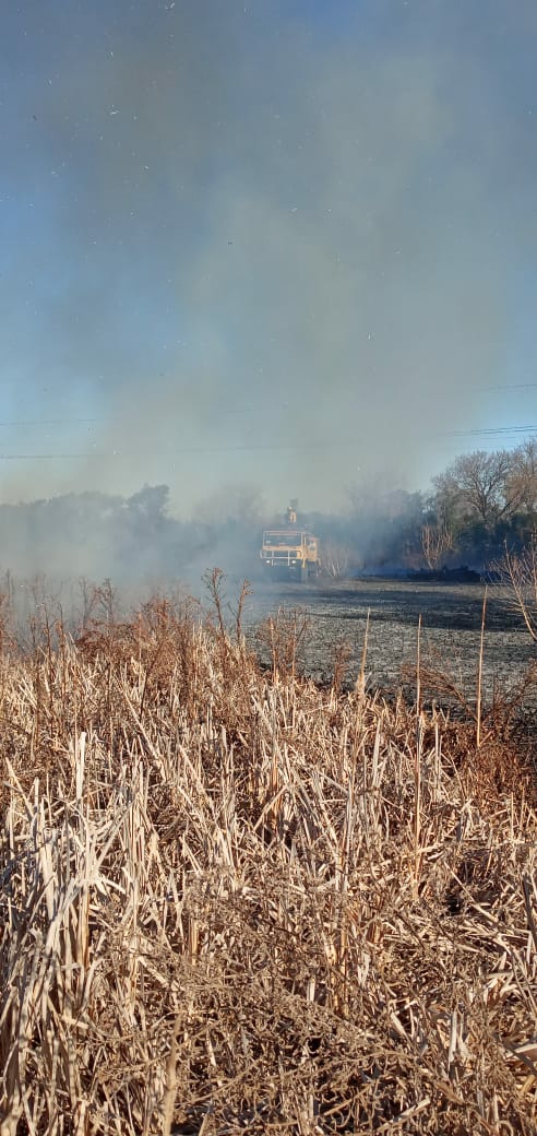 23.000 litros de agua extinguieron un incendio de pastizales y árboles 