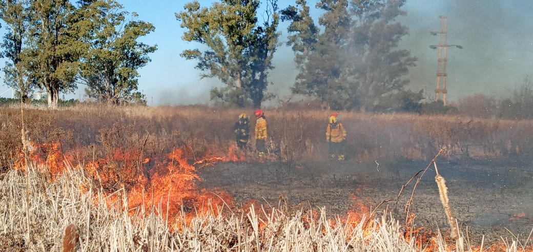23.000 litros de agua extinguieron un incendio de pastizales y árboles 