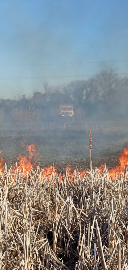 23.000 litros de agua extinguieron un incendio de pastizales y árboles 