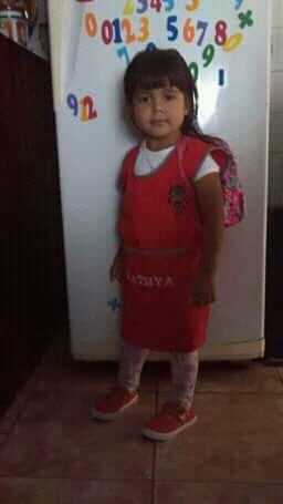 Envianos tu foto, video o mensaje de audio a nuestras líneas