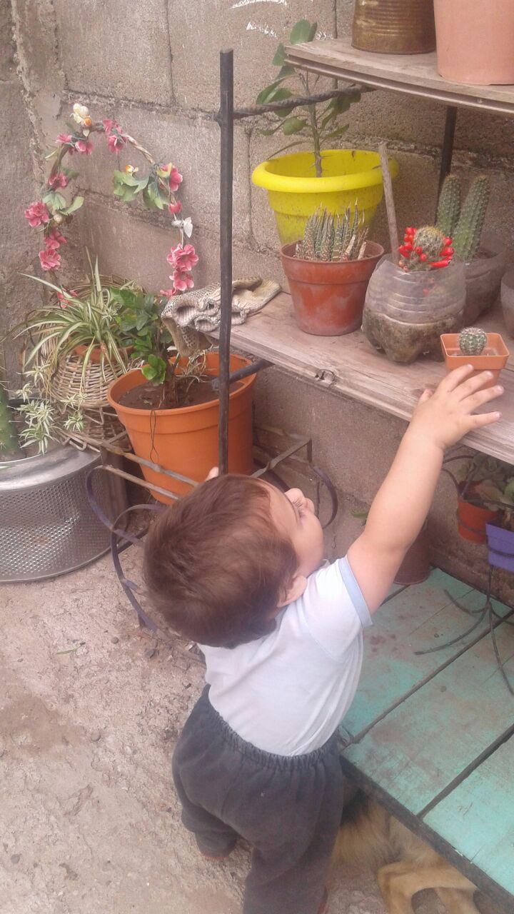 Envianos tu foto, video o mensaje de audio a nuestras líneas