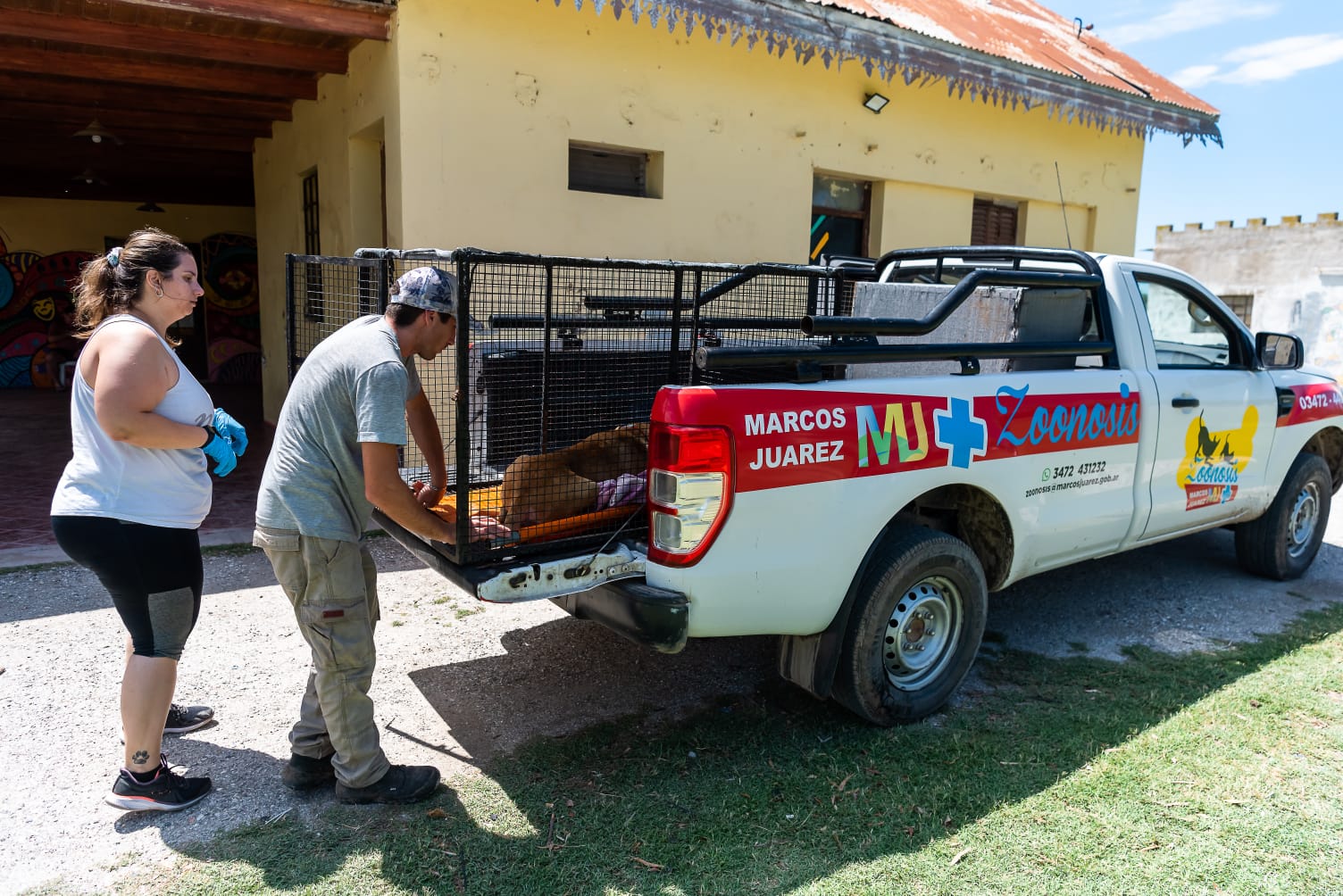 Más de 90 animales fueron castrados en la Gran Jornada de castración masiva