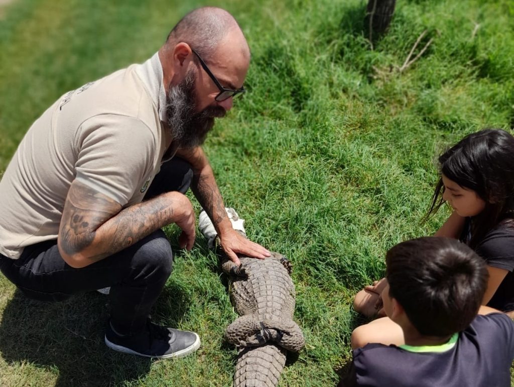 Policía Ambiental capturó un yacaré ñato en Río Ceballos